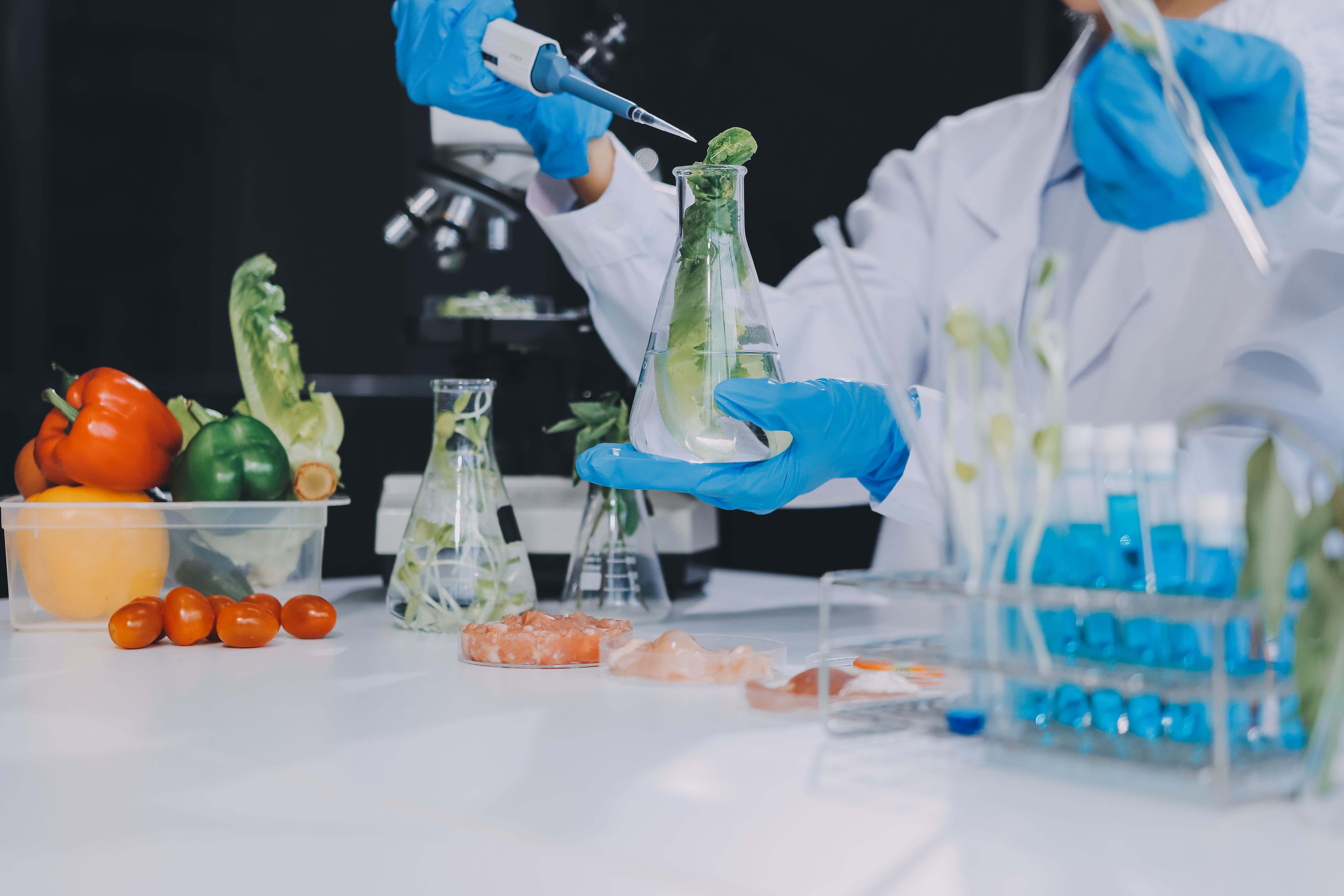 Level 2 Award in Personal Hygiene & Food Contamination Control