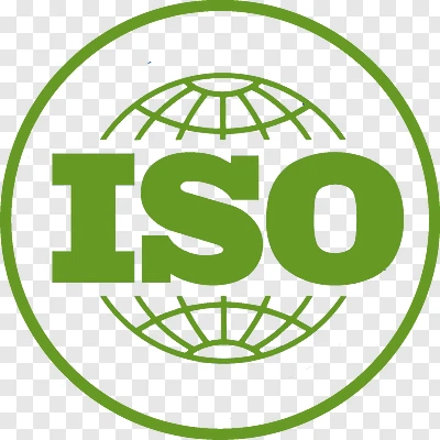 Lead Implementer and ISO Management